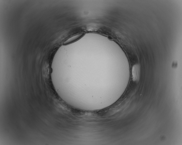 X0000101441443200808041204