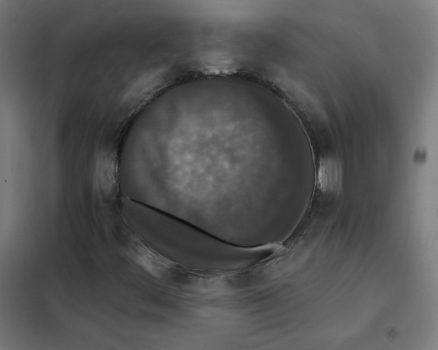 X0000101441444200808041204