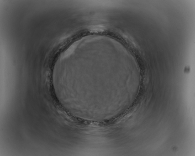 X0000101441445200808041204