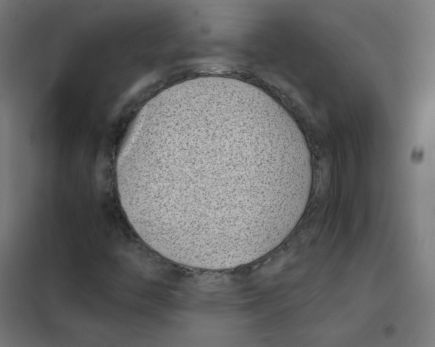 X0000101441446200808041203