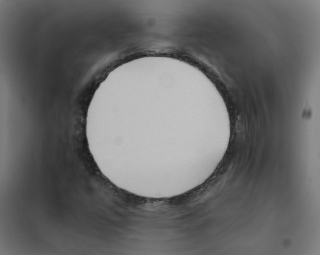 X0000101441447200808041203