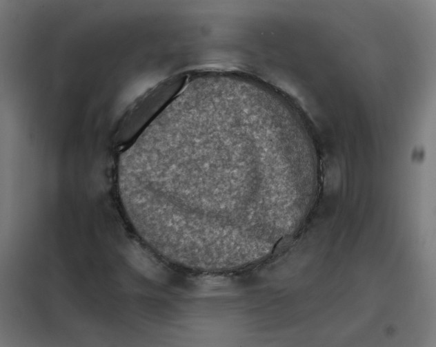 X0000101441448200808041203