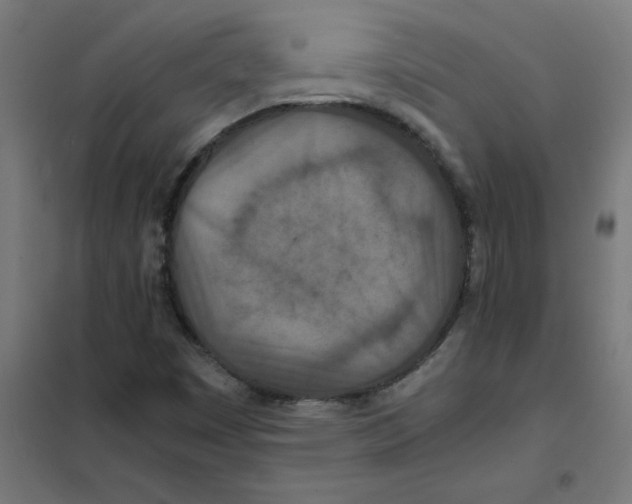 X0000101441449200808041203