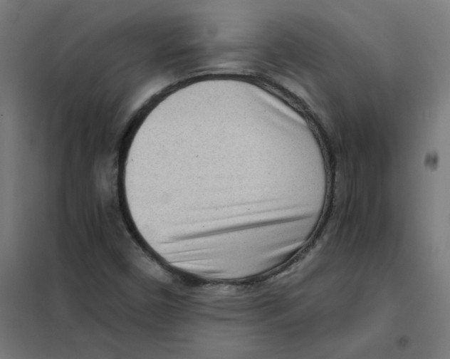 X0000101441450200808041203