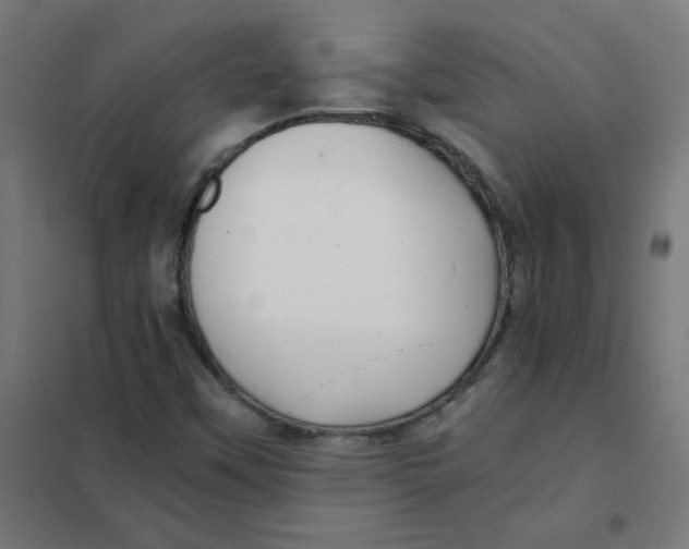 X0000101441451200808041203