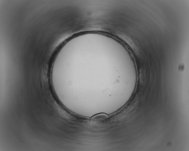 X0000101441452200808041203