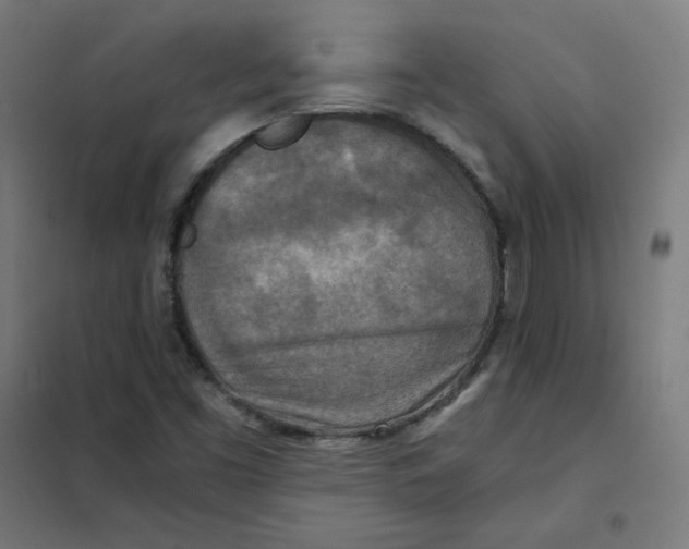 X0000101441453200808041203