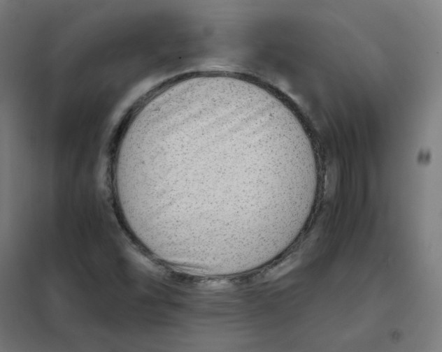 X0000101441454200808041203