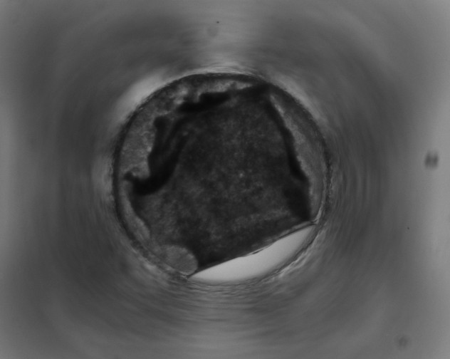 X0000101441455200808041203