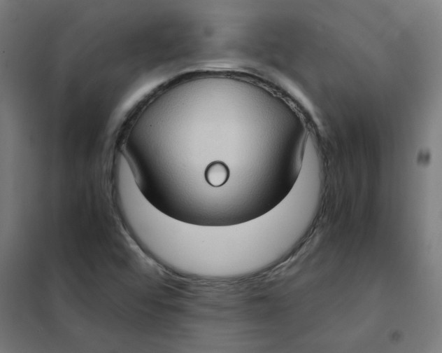 X0000101441456200808041203