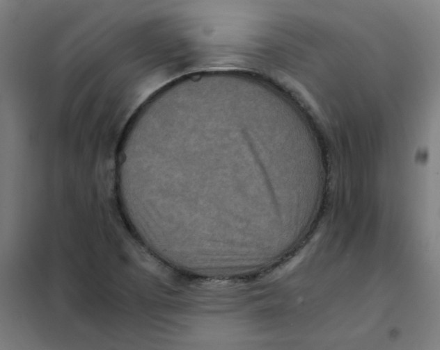 X0000101441457200808041203