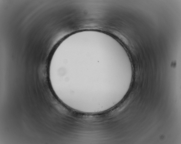 X0000101441458200808041203