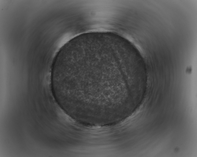 X0000101441459200808041203