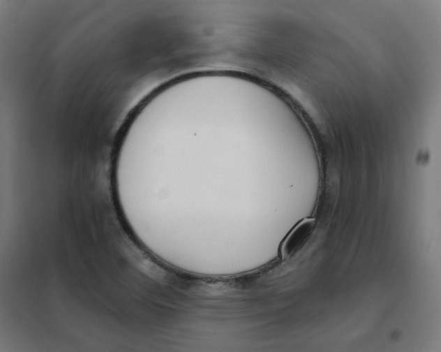 X0000101441460200808041203