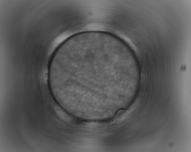 X0000101441461200808041203