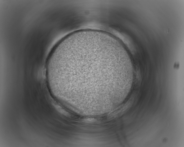 X0000101441462200808041203