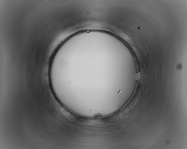 X0000101441464200808041203