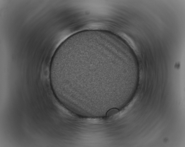 X0000101441465200808041203