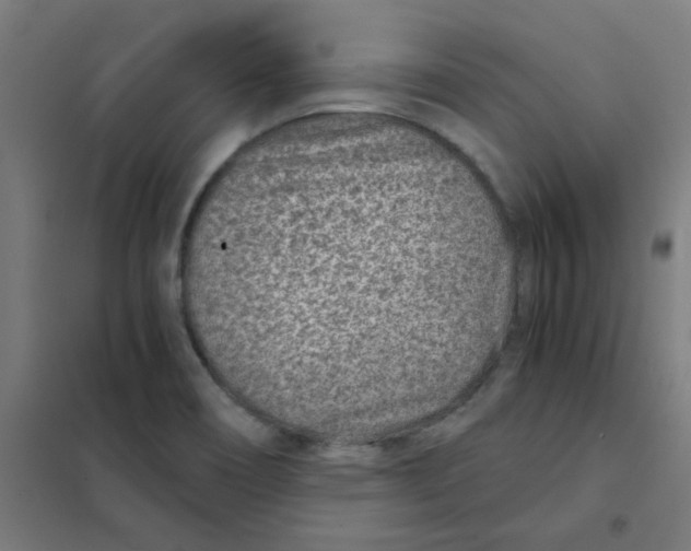 X0000101441466200808041203