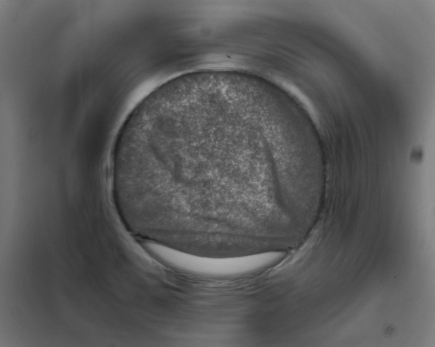 X0000101441467200808041203