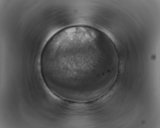 X0000101441468200808041203