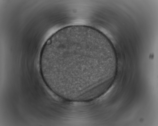 X0000101441469200808041203