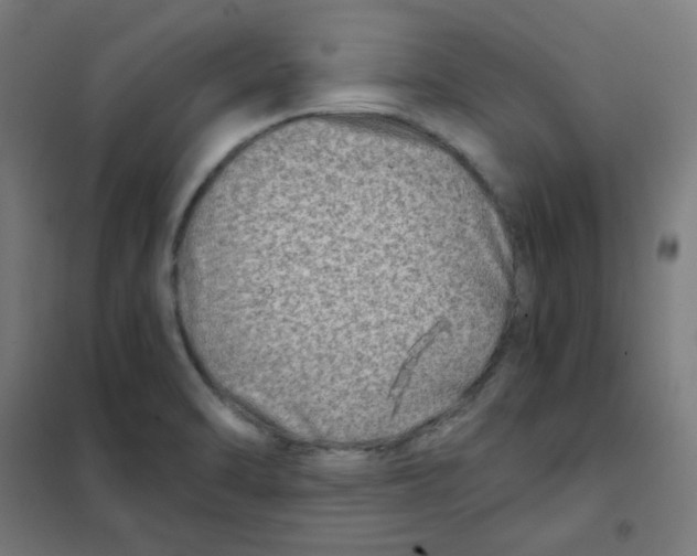 X0000101441470200808041203