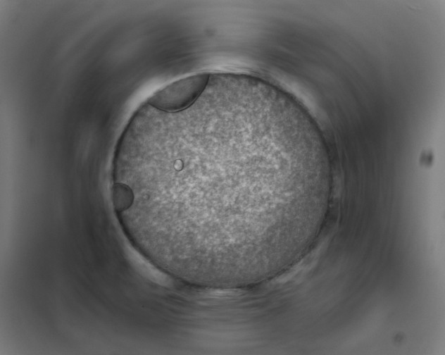 X0000101441471200808041203