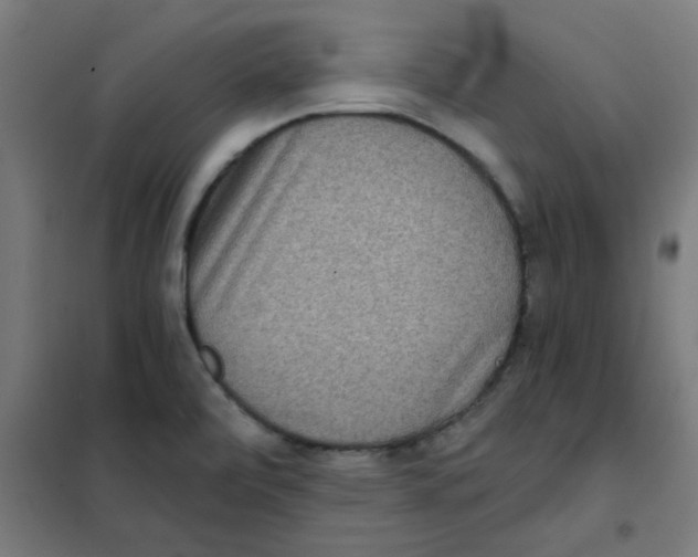 X0000101441472200808041203