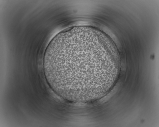 X0000101441473200808041203