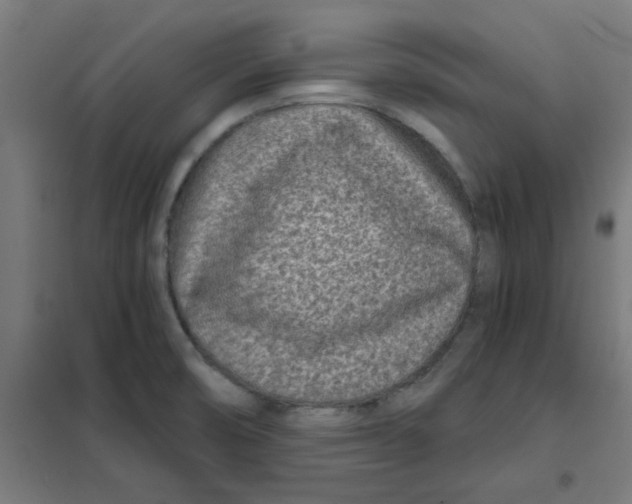 X0000101441474200808041203