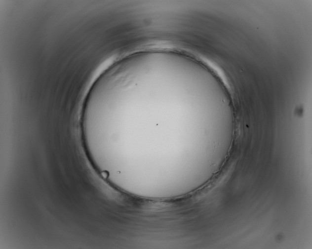 X0000101441475200808041203