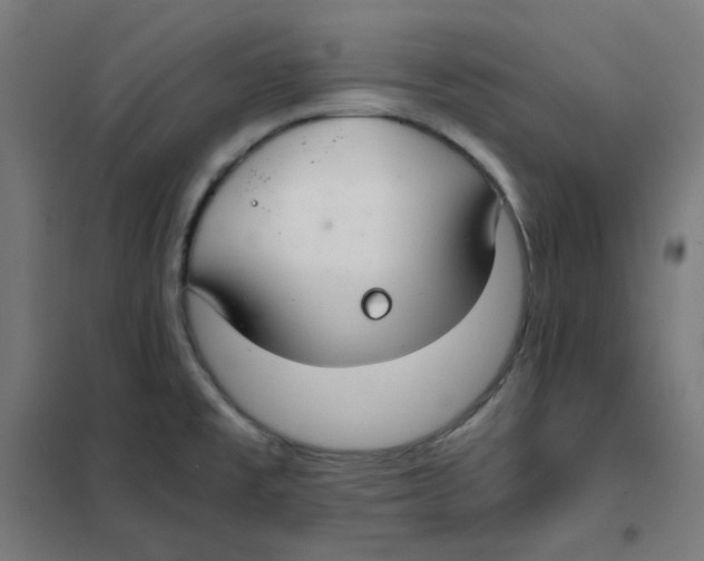 X0000101441477200808041203