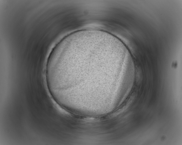 X0000101441478200808041203