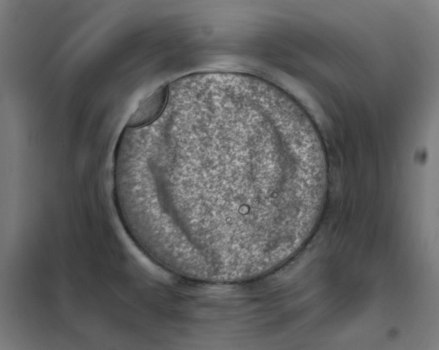 X0000101441479200808041203