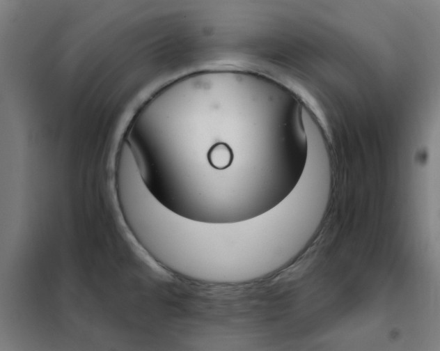 X0000101441480200808041203