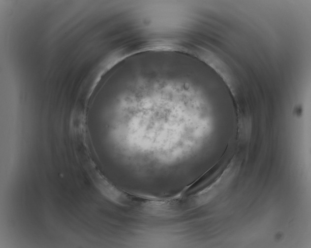 X0000101441481200808041203