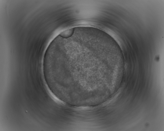 X0000101441482200808041203