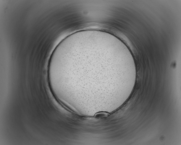 X0000101441483200808041203