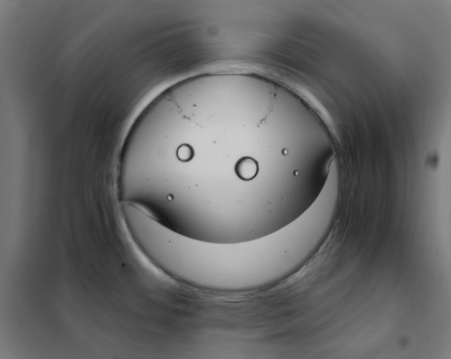 X0000101441484200808041203