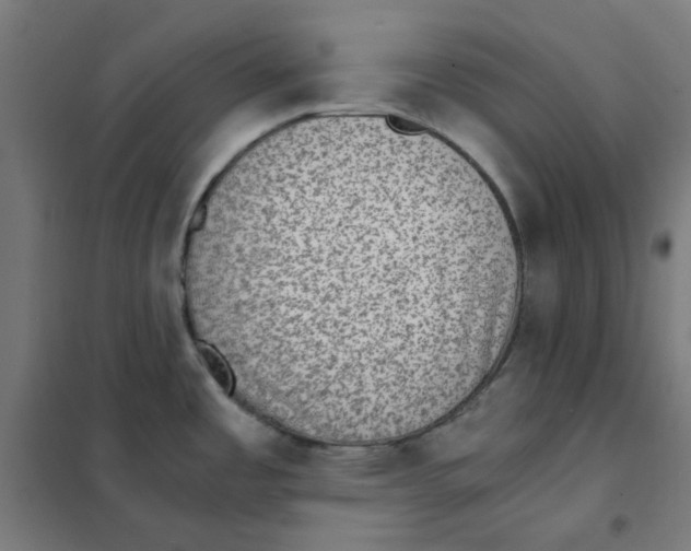 X0000101441485200808041203