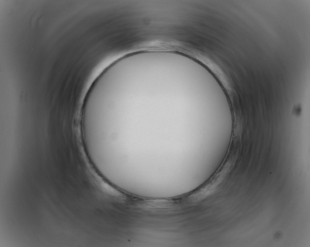 X0000101441486200808041203