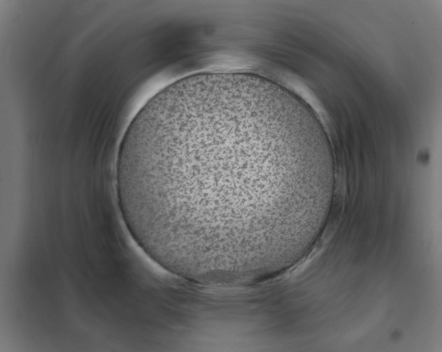 X0000101441487200808041203