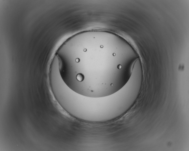 X0000101441488200808041203