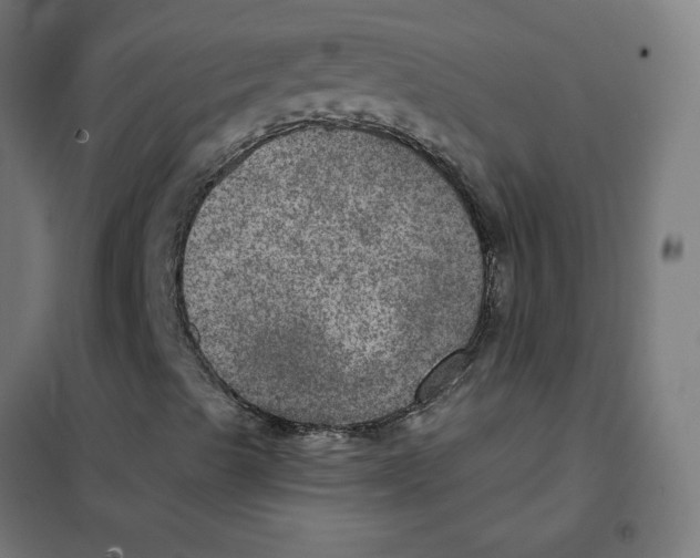 X0000101441489200808041202