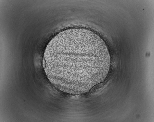 X0000101441490200808041202