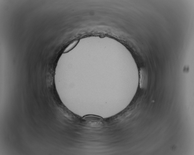 X0000101441491200808041202