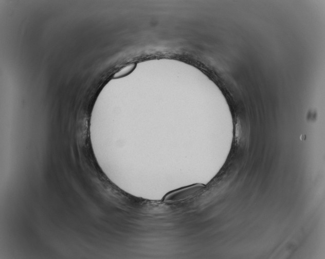 X0000101441492200808041202