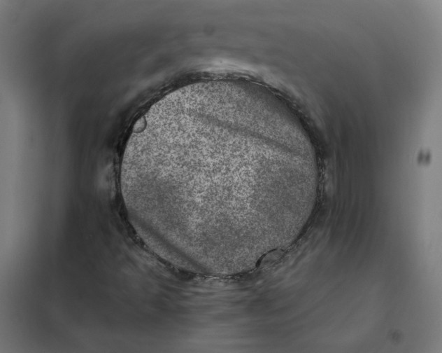 X0000101441493200808041202