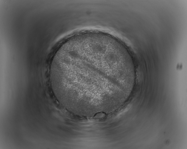 X0000101441494200808041202